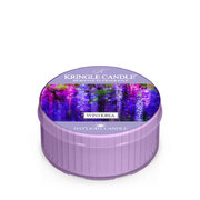 Kringle Candle Wisteria illatgyertya illatgyertya (42 g)