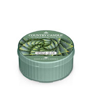 Country Candle Spirál Aloe illatgyertya (42 g)