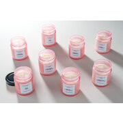 Vila Hermanos Apothecary Rosa White Rosa & Hymalayan Salt illatgyertya 150g
