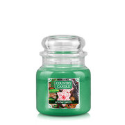 Country Candle Holiday Sweets illatgyertya közepes 2 kanócos (453 g)