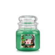 Country Candle Holiday Sweets illatgyertya közepes 2 kanócos (453 g)
