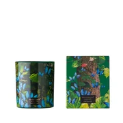 Vila Hermanos Jungletopia BUTTERFLY illatgyertya 200g