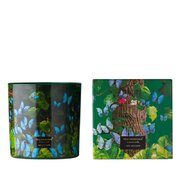 Vila Hermanos Jungletopia Butterfly illatgyertya 650g