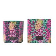 Vila Hermanos Jungletopia WILD MUSK illatgyertya 650g
