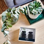 ipuro Essentials Black Bamboo 2x50ml diffúzor díszdobozban