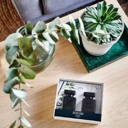 ipuro Essentials Black Bamboo 2x50ml diffúzor díszdobozban