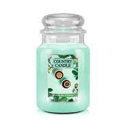 Country Candle Lemon Tea & Roses nagy 2 kanócos illatgyertya (737 g)