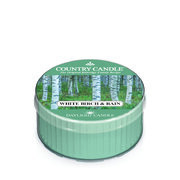 Country Candle Fehér nyír és eső illatú gyertya (42g)