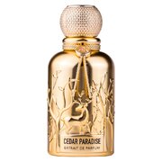 Auraa Desire Cedar Paradise Eau de Parfum