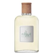 Ralph Lauren Polo Earth Eau de Toilette