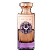 Electimuss Gladiator Oud Eau de Parfum 100ml