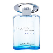 Salvatore Ferragamo Incanto Pour Homme Blue Eau de Toilette