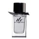 Burberry Mr. Burberry Eau de Toilette
