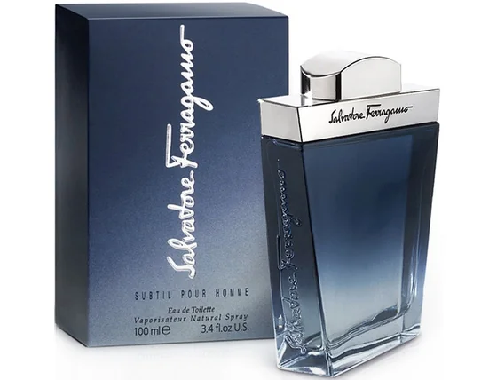 Salvatore Ferragamo Subtil Pour Homme  100ml edt.jpg