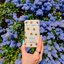Miniatúra: Wild honey & cactus flower bee case deostick, 40 g - 486620586_1149102190348562_6774521135099687929_n