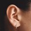 Miniatúra: 