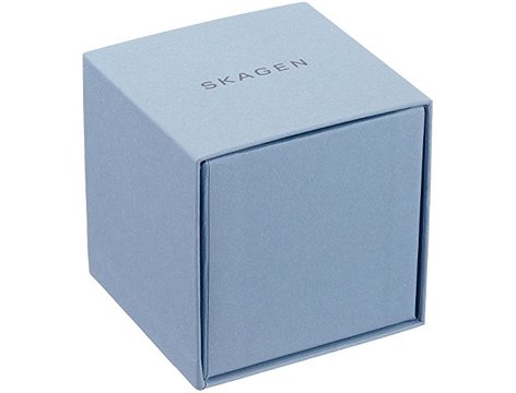 Skagen skw2354 sales