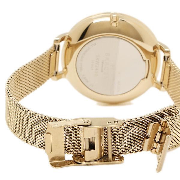 Skagen skw2436 deals