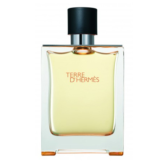 Hermes Terre D´Hermes Eau de Toilette - Tester, 100ml